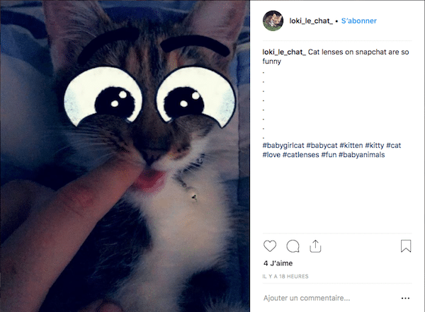 Snapchat Sort Sa Fonctionnalite Cat Lenses Des Filtres Pour Les Chats