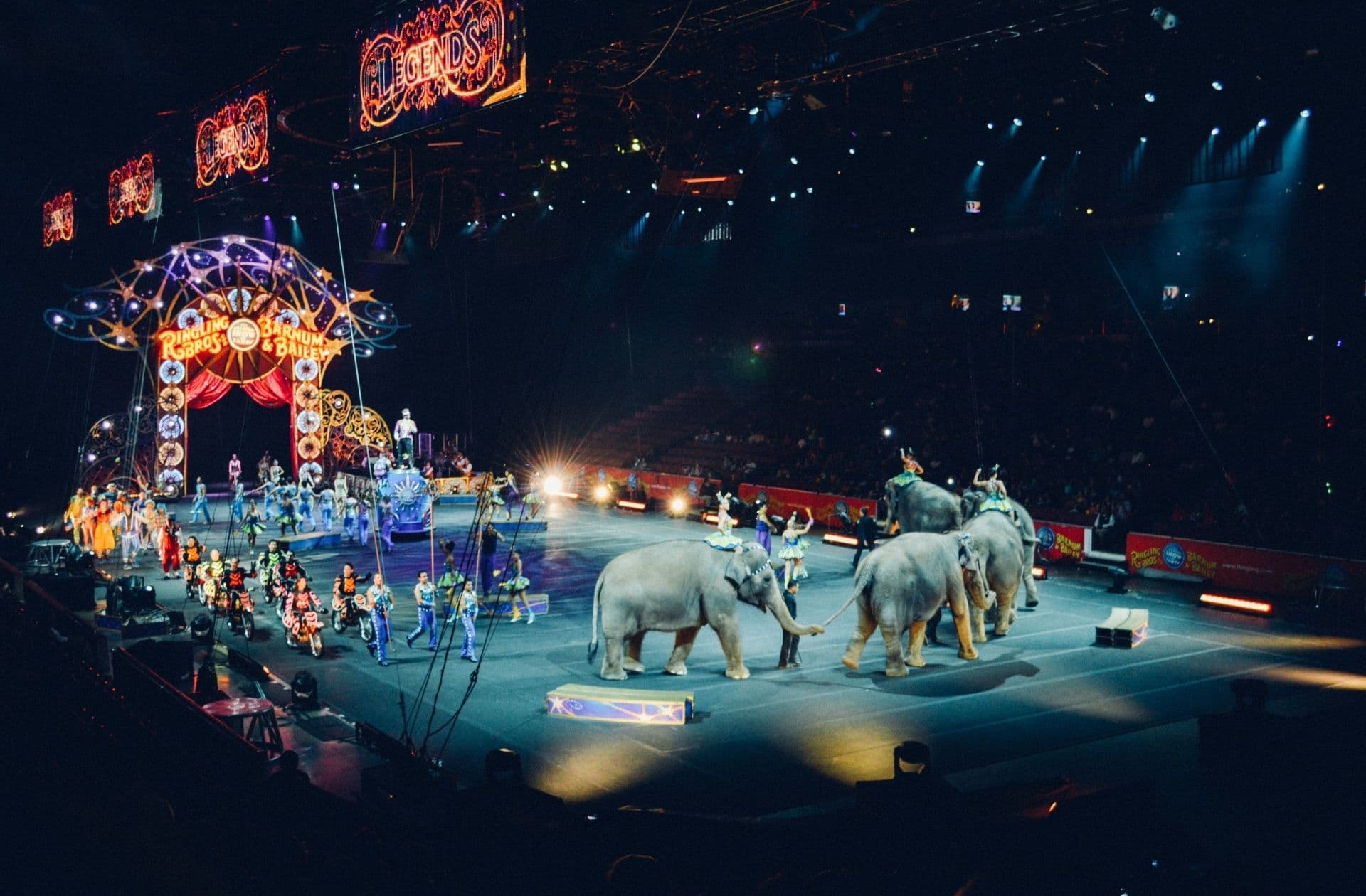 "Une parade de cirque avec des éléphants"