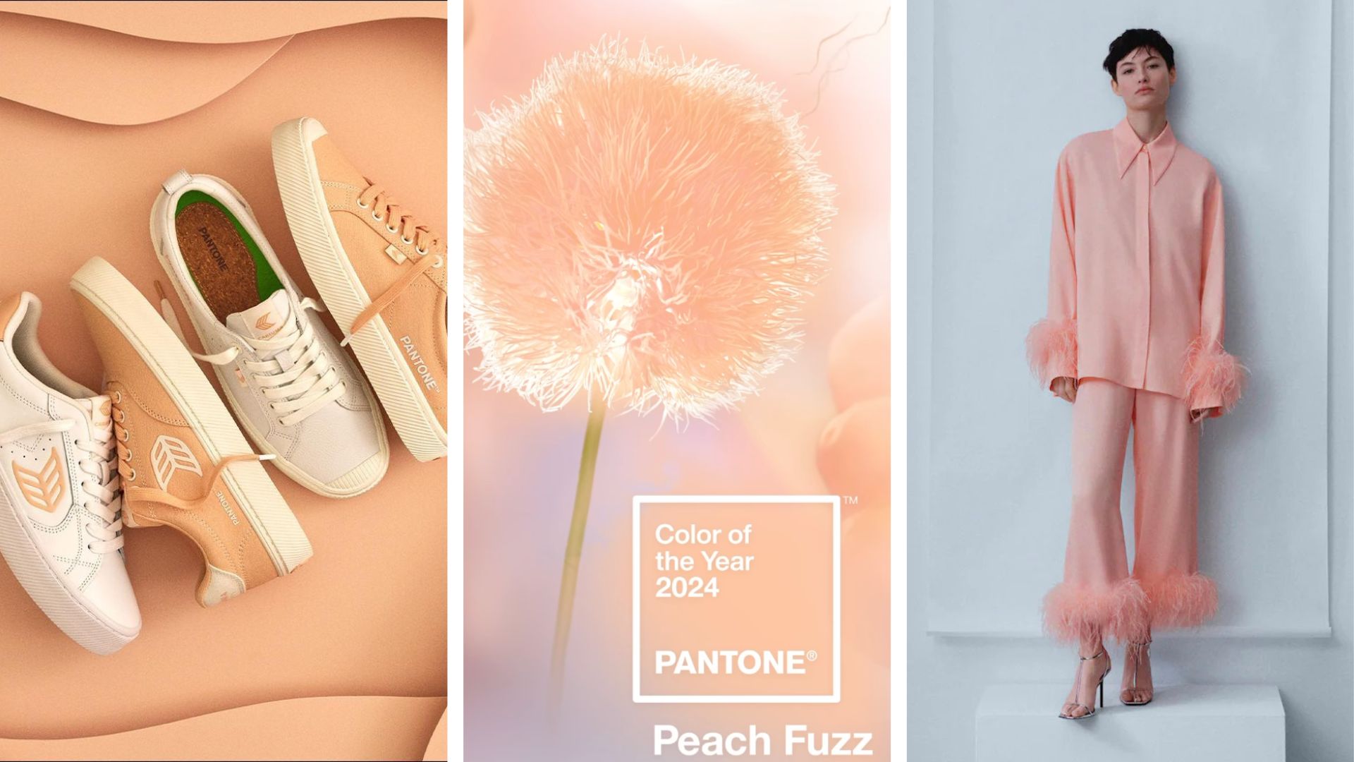 Comment Porter Le Peach Fuzz Couleur De L Ann E 2024 Selon Pantone   Comment Porter Le Peach Fuzz Couleur De Lannee 2024 Selon Pantone 