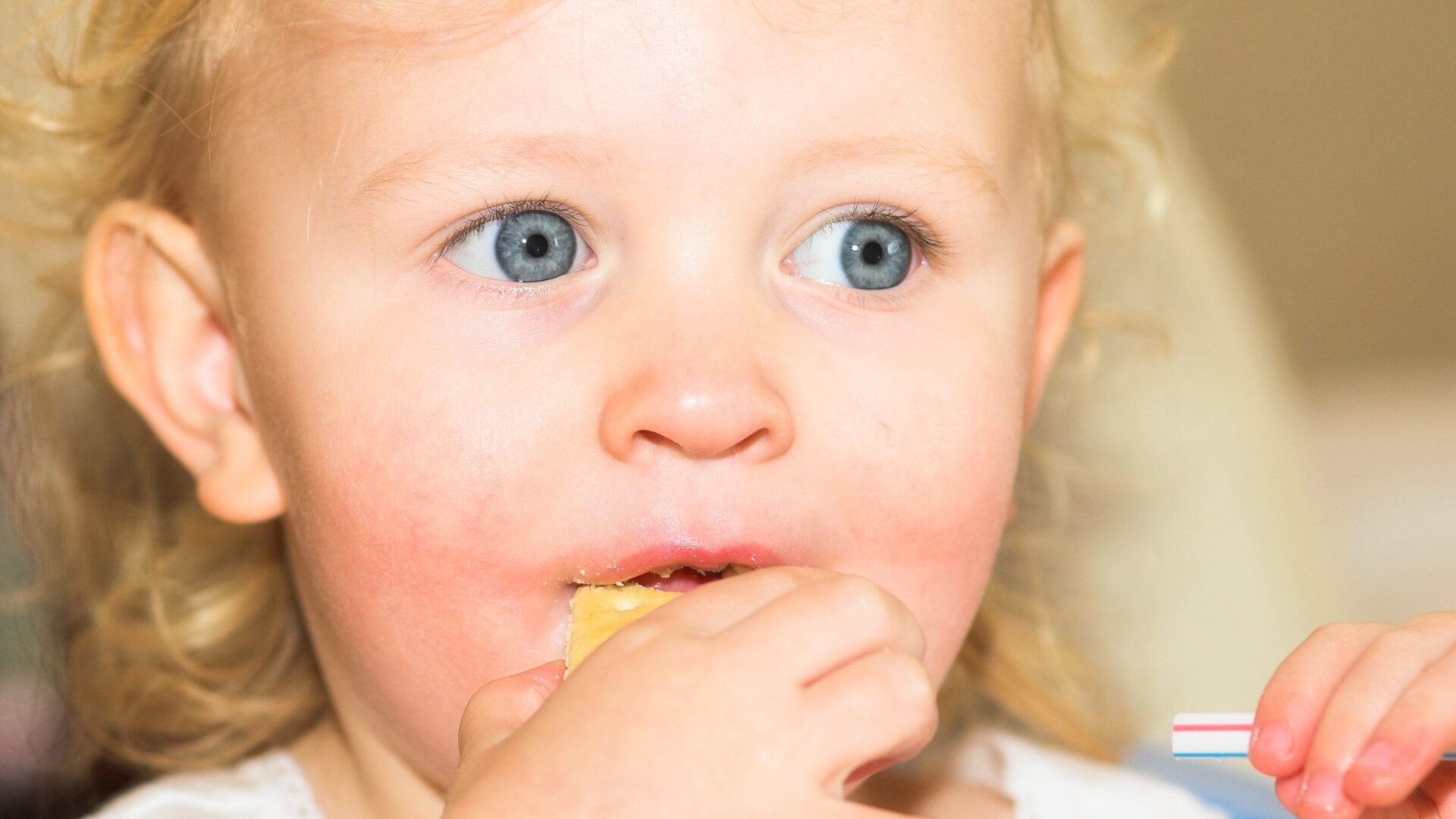 Pourquoi L’heure Qui Suit La Sortie De Crèche Est Un échec Nutritionnel 